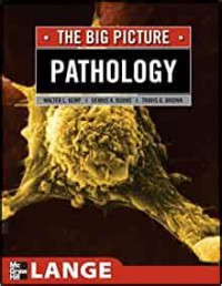 THE BIG PICTURE PATHOLOGY